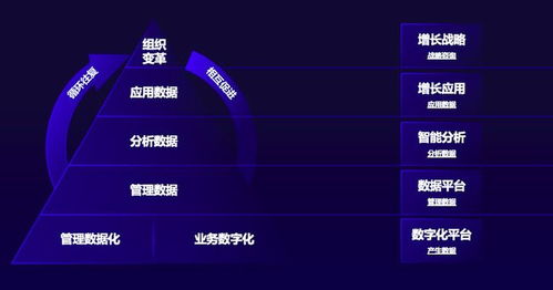 數(shù)據(jù)智能驅(qū)動業(yè)務(wù)增長 GrowingIO 張溪夢如何助力企業(yè)實現(xiàn)從數(shù)據(jù)洞察到廣告業(yè)務(wù)騰飛