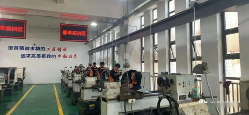 大邑發布公共服務成績單 基礎教育與教育咨詢服務成果顯著